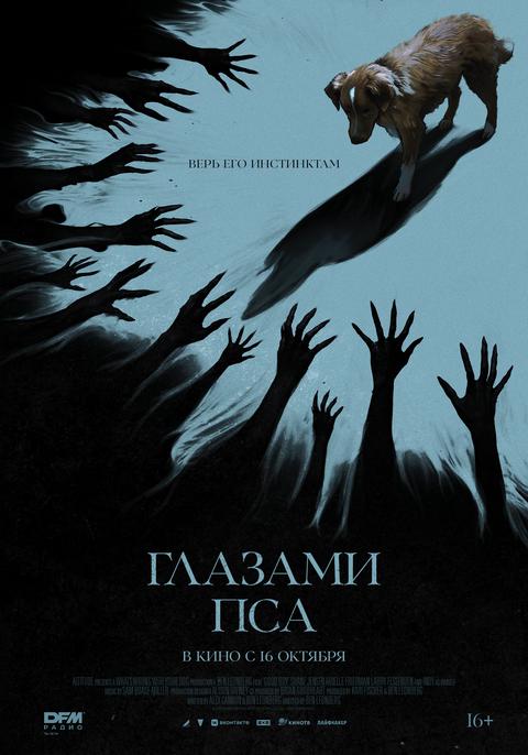 Глазами пса | ТРК Чудо-Парк